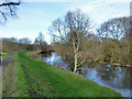 River Avon looking upstream