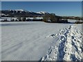 SO7944 : The Malvern Hills in snow by Philip Halling