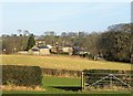 Across fields at Bedlam