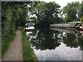 Grand Union Canal Walk