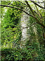 Ruined remains of the 12th century Church of St Laurence