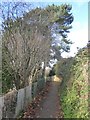 Foot and cycle path beside Belle Isle Park, Exeter