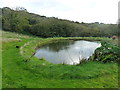 Pool in the field at Crockwood Farm