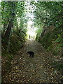 On the greenway track below Crockwood Farm