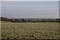 View east from bridleway on Toller Down