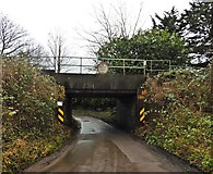 ST5328 : Railway bridge, Charlton Mackrell by Roger Cornfoot