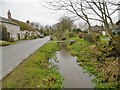 Winterborne St Martin, River South Winterborne