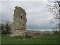TQ1810 : Gatehouse Tower at Bramber Castle by David Tyers