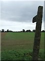 Footpath Across A Field