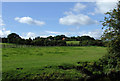 Pasture north of Wollaston, Dudley