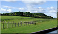 Horse pastures north of Wollaston, Dudley