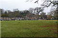 Houses at Minstead seen across field