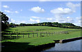 Canalside pasture north of Wollaston, Dudley