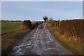 Farm Track heading North towards Arbour Hill