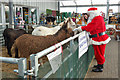NT5831 : Santa meets the Milestone donkeys by Walter Baxter