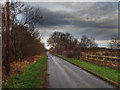 C9234 : Kilmoyle Road by Robert Ashby