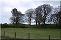 Kemb Hills, Kemnay