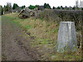 Trigonometrical point near Lower Penn in Staffordshire