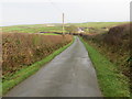 Hedge enclosed lane towards Tai Hen