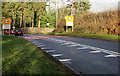 Crocodile teeth markings on the A4042 near Llanover