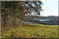 Field edge near the church at Durley