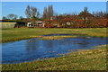 Frozen puddle in field at Durley Street