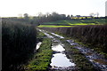 Muddy Track Chilthorne Hill