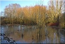 SK5702 : Flooding on the Aylestone Meadows by Mat Fascione
