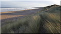 NZ3278 : The beach and dunes south of Blyth by Clive Nicholson
