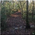 Tandridge Border Path