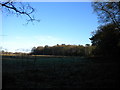 Frosty field north of Wergs Plantation