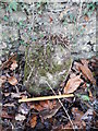 Old Milestone by the B6278, Burnmill Bank, Shotley