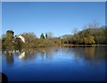 Mere Pond, Walton on the Hill - frozen over