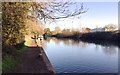 Walking the canal towpath below Cape Bottom Lock, north Warwick