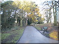 Footpath in East Park, Wolverhampton (1)