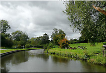 SO8483 : Canal at Kinver in Staffordshire by Roger  D Kidd