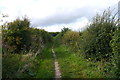 SU1542 : Bridleway along the line of the former Larkhill Military Railway by Phil Champion