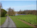 Pond at Rylands Farm, Elmley Lovett