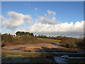 Fields east of Martonsands