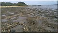 SY9890 : Foreshore near Ham Common and Hamworthy Beach, Poole Harbour by Phil Champion