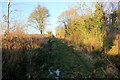 Boggy Track near Babcary