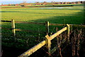 Fields Near Babcary