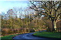 View down Westley Lane