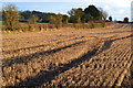 Late sunshine on stubble field