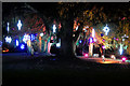 SJ7387 : Christmas at Dunham Massey - The Woodland Garden by David Dixon