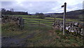 Footpath across fields near Aller Gill