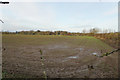 Field near Grove End Farm