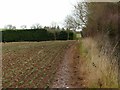 Footpath near Risley