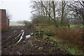 Path leading to Mill Race, Tetney