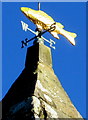 Fish weathervane on the bellcote, St David